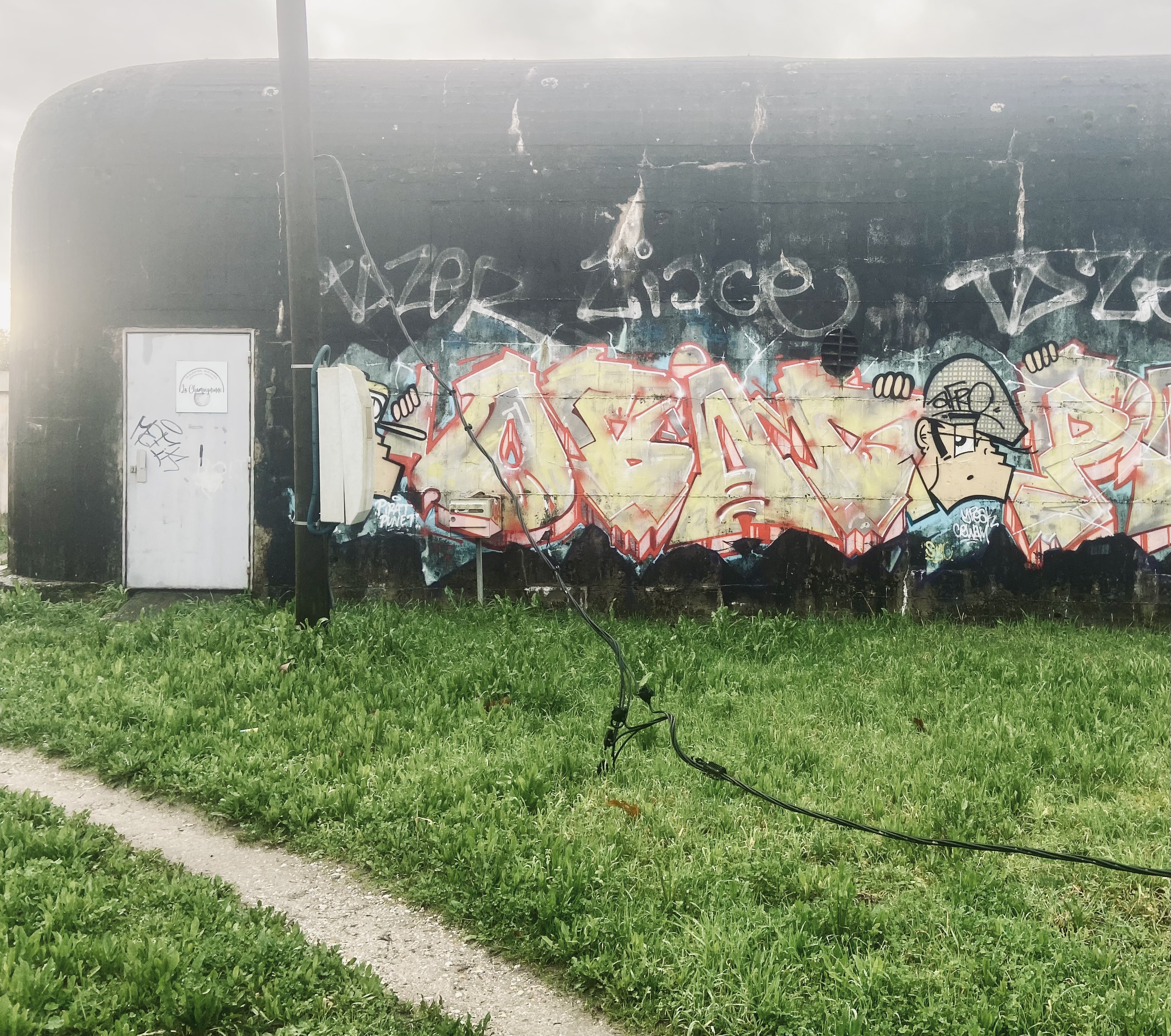 Blockhaus de la Champignonne environnement humide et cable électrique au sol