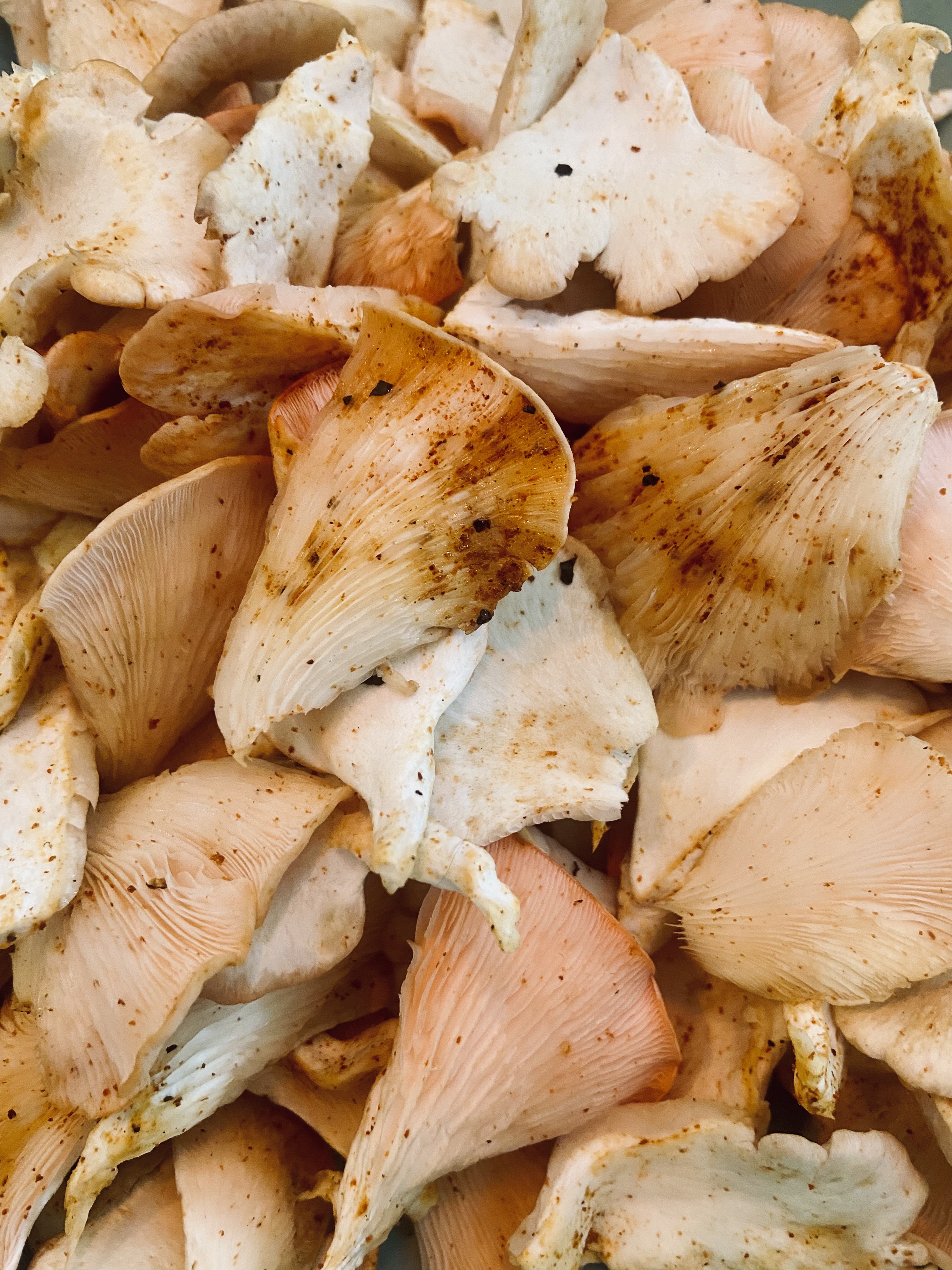 pétales de pleurotes roses assaisonnés d'épices, prêts à cuire