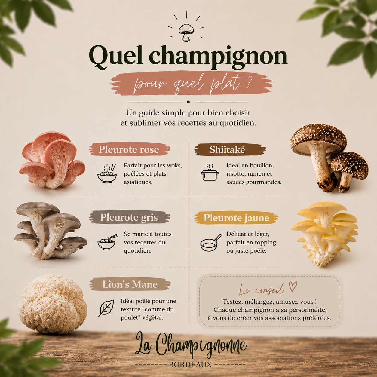 Variétés de champignons cultivés artisanaux