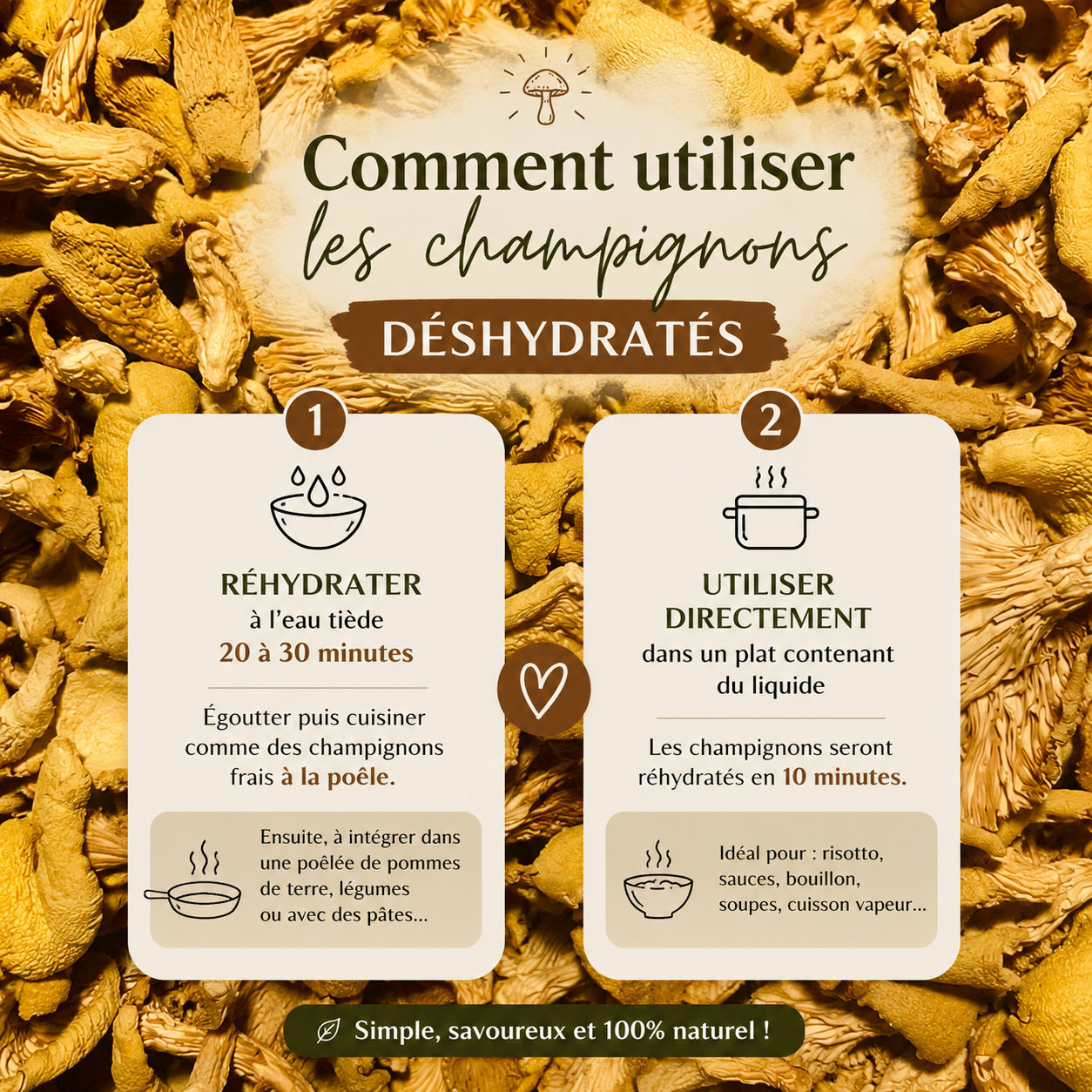 Pleurotes jaunes déshydratés en gros plan